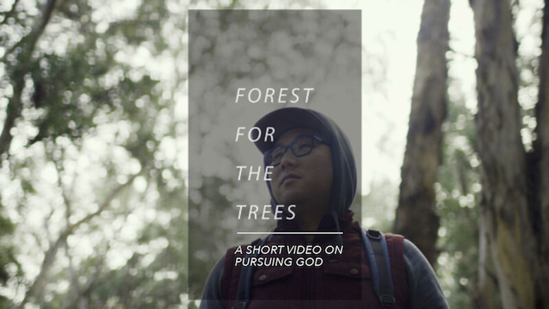 Forest for the Trees Themed Message Transition Video